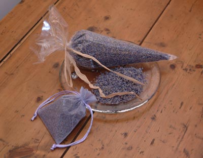 Timeless Lavender